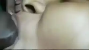 Indian honeyweet as mango