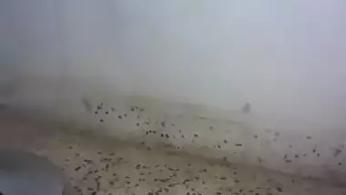 Sexy slim babe back with fingering on cam